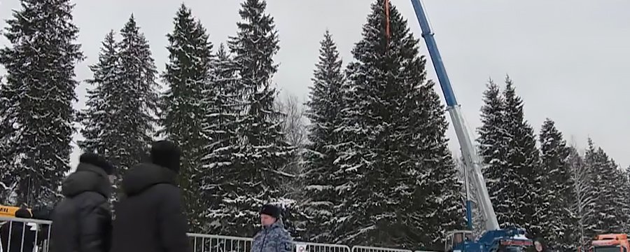 Главную ёлку доставят на Соборную площадь Кремля в Москве 13 декабря